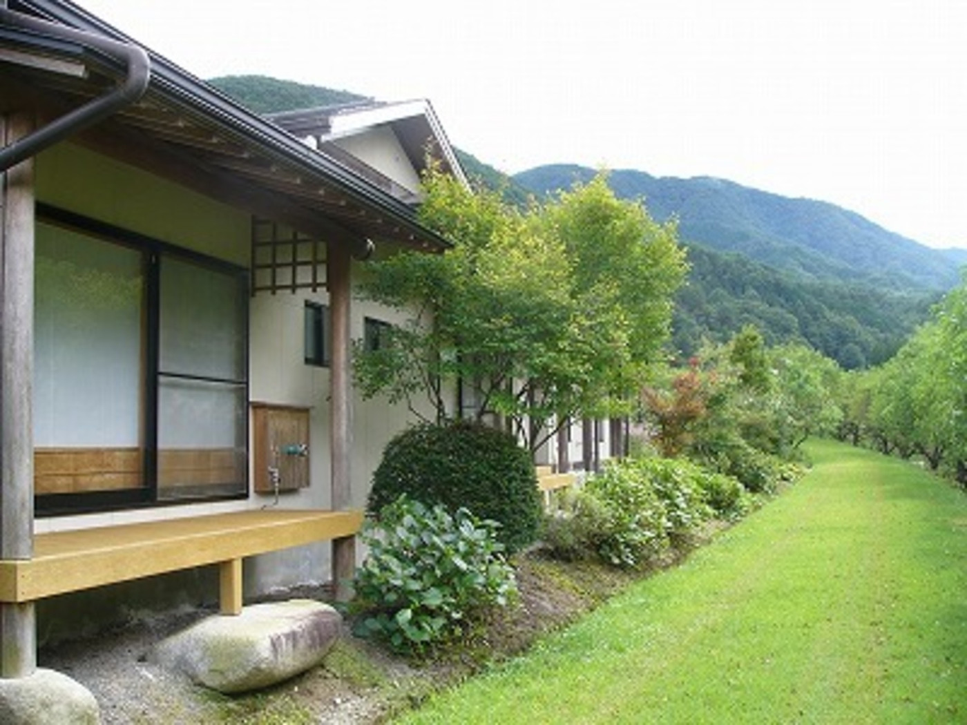 春は花桃に包まれる、山奥の小さな旅館3567221