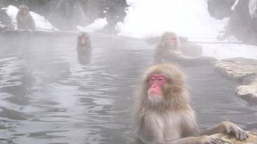 観光スポット / 7