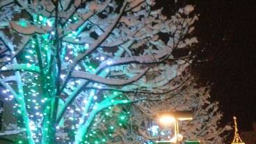 施設からの眺望 / 17