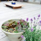 でんハウス（大島）（東京都 別荘・ヴィラ・コンドミニアム） / 2