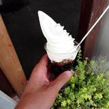 大和屋 高崎本店(ヤマトヤ)