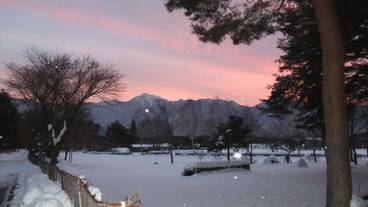 エコツアー / 12