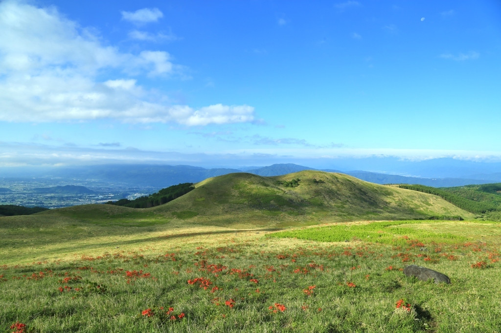 涼を求めてビーナスラインへ出かけよう680710