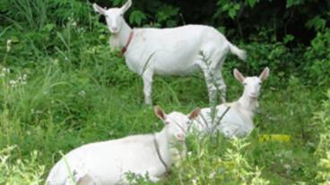 施設内の設備 / 5