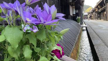 観光スポット / 7