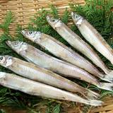 志州ひらき屋（シシュウヒラキヤ）