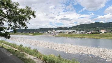 部屋からの景観 / 31