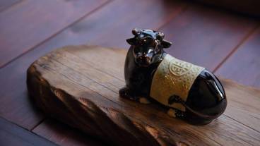 客室の設備とサービス / 28