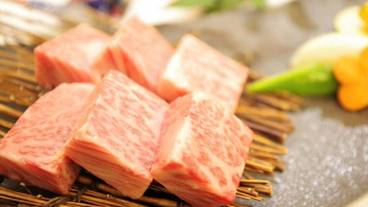 レストラン / 15