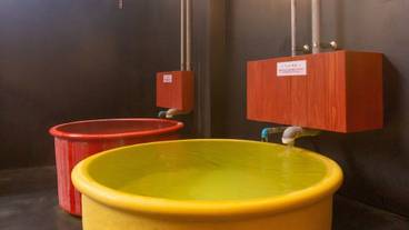 バスルームのシンク / 7