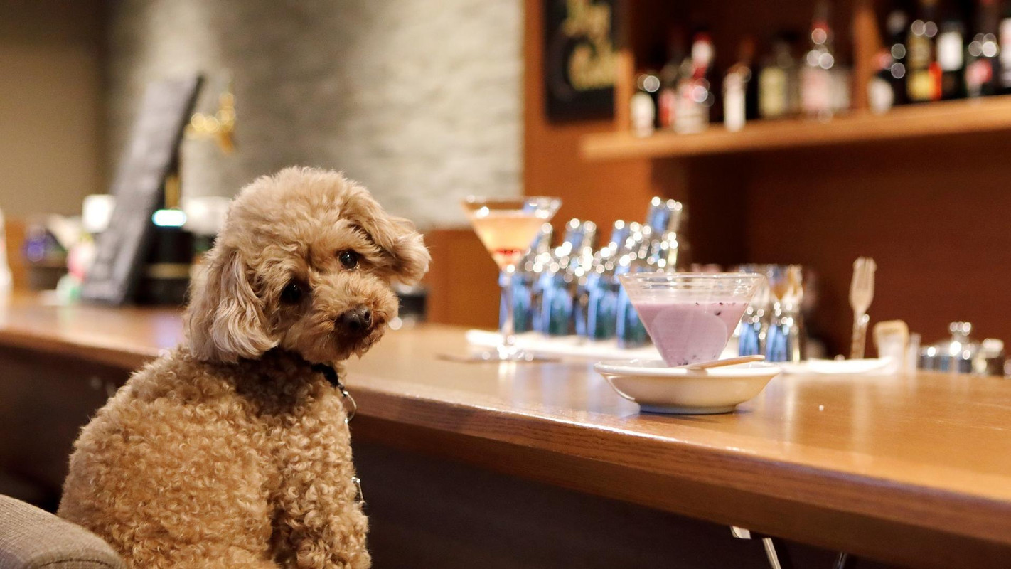 カフェ・バー③