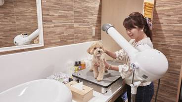 ルシアン旧軽井沢（ルシアンキュウカルイザワ） / 6