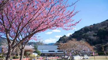 観光スポット / 8