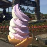 ぜるぶの丘（ゼルブノオカ）