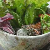 レストラン 癒月(レストランユヅキ)