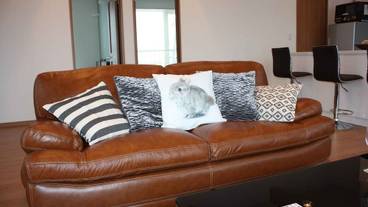 メイン イメージ / 1