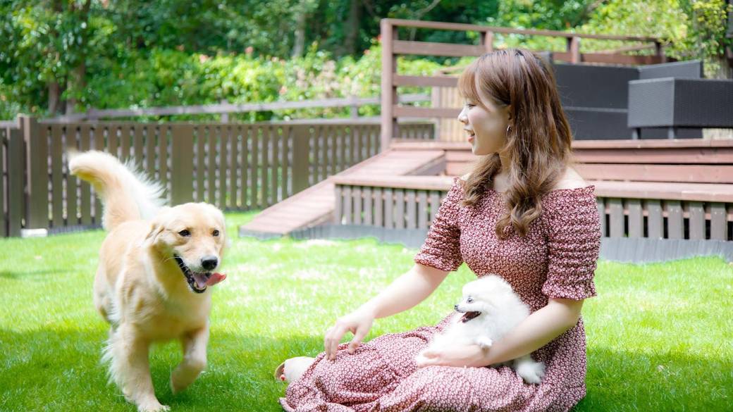 ドッグランで遊んで
スタジオで記念撮影♩ / 2