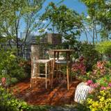 スカイフォレストガーデン / 5