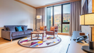 プレミアム ルーム 1 ベッドルーム