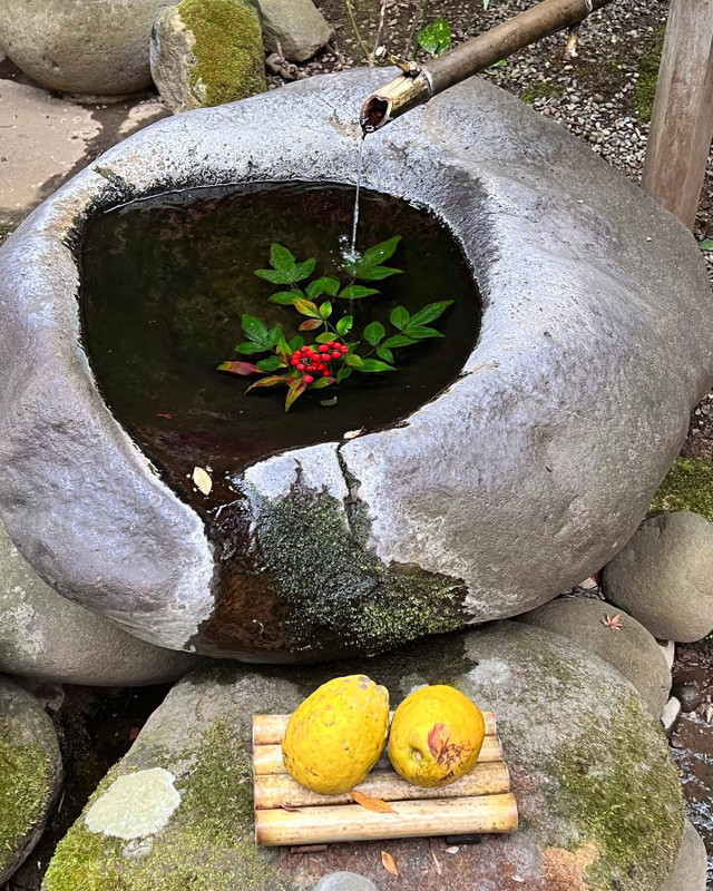 saki_yasuokaさんの写真 / 2