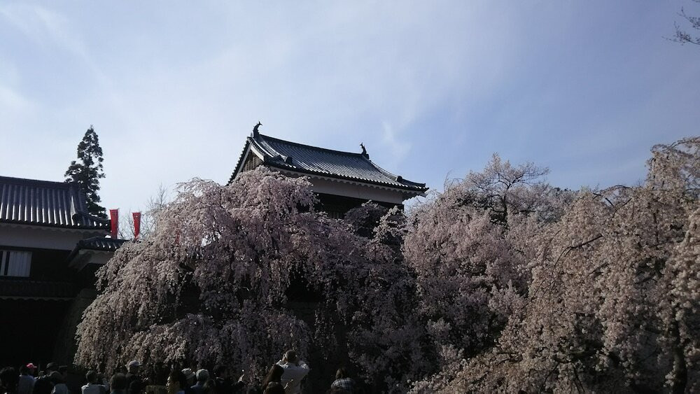 施設からの眺望