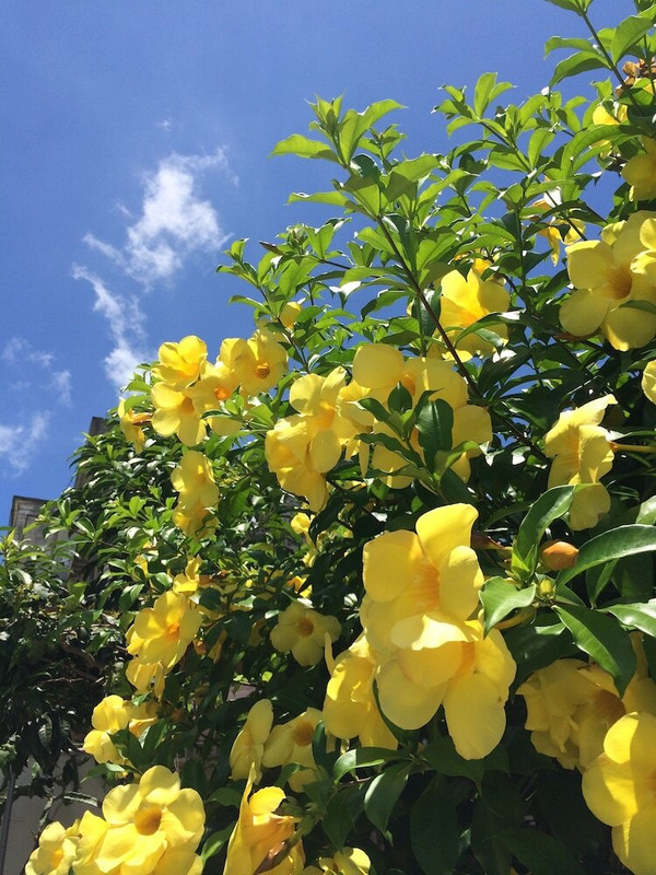 施設からの眺望