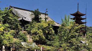 観光スポット / 30