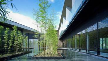 テラス / パティオ / 11