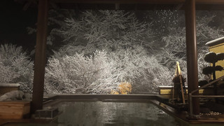 スタンダード スイート 禁煙 ガーデンビュー