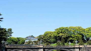 観光スポット / 11