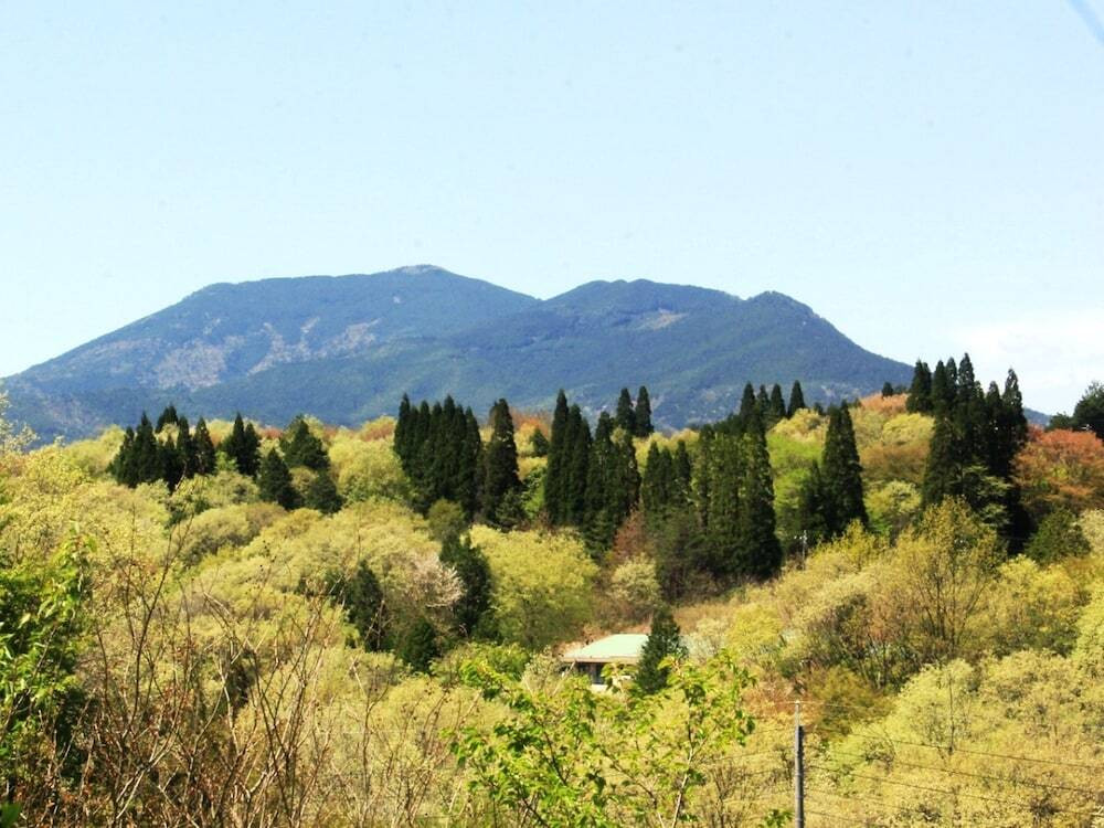 施設からの眺望