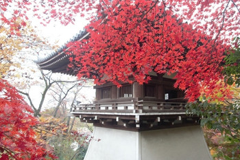 10.高幡不動尊金剛寺【日野市】900788