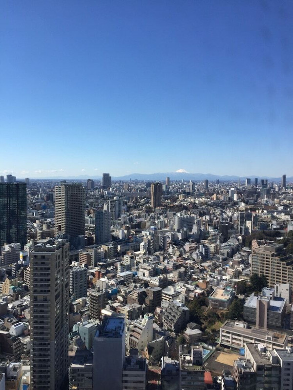観光スポット