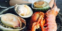 目の前は海！愛媛・今治で海鮮バーベキュー&おすすめキャンプ場