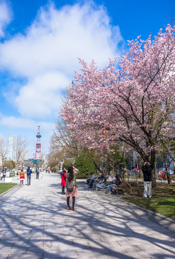 大通公園1557670