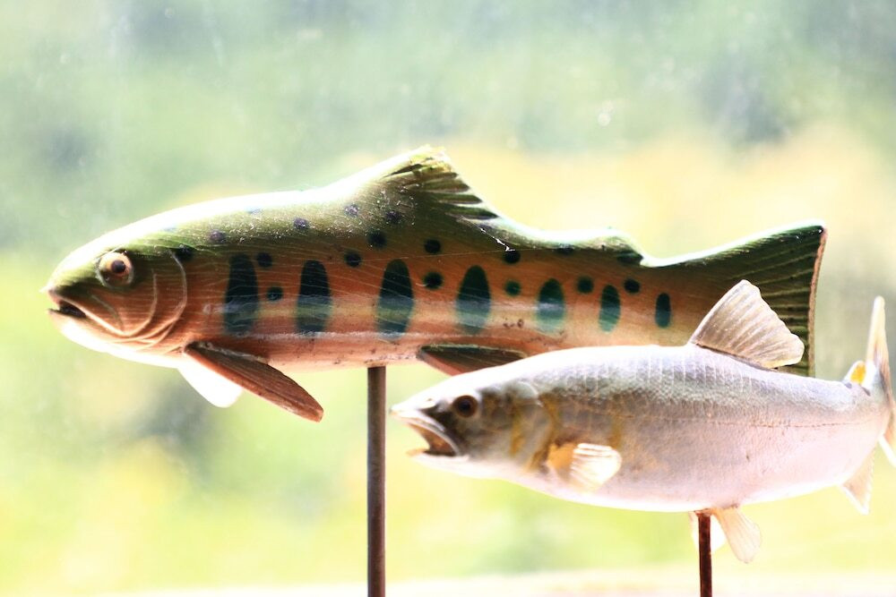 内部エントランス