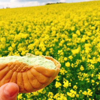 「ひまわりの丘 売店」 料理 85279898 菜の花アイスとまぢ菜の花