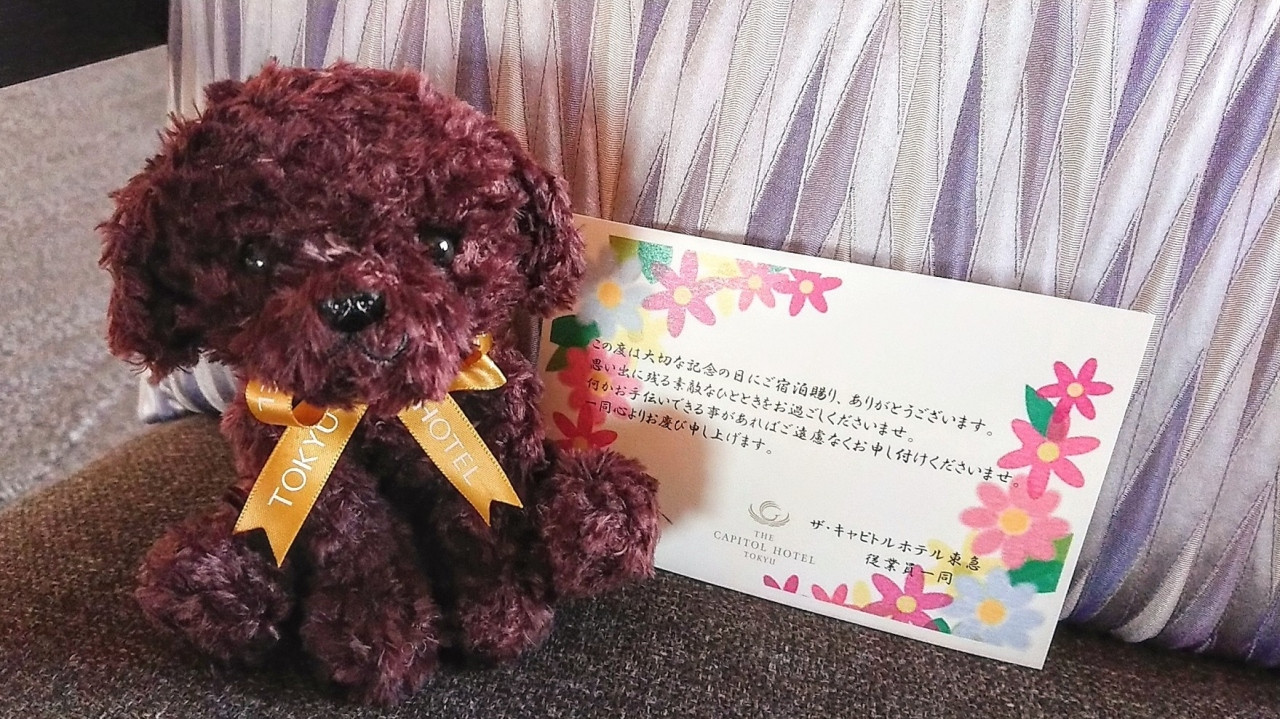 スイートではキュートな子がお出迎え