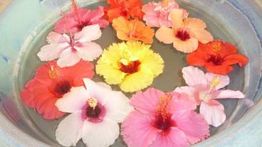 施設内の設備 / 1