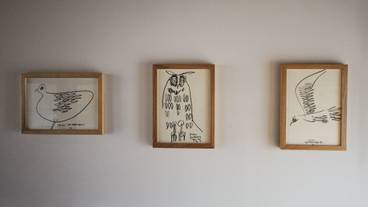 客室の設備とサービス / 16