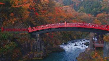 施設の敷地 / 17