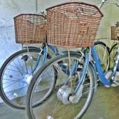 湯河原温泉ホテル四季彩（神奈川県 旅館） / 4