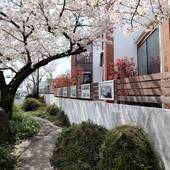 コンセプトハウス星田（大阪府 コテージ・ロッジ・一棟貸） / 5