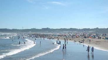 観光スポット / 8