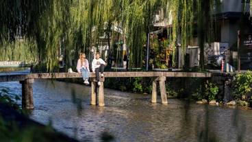 ランド ビュー / 6