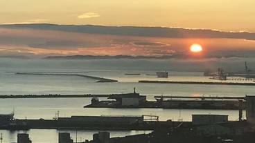 ビーチ / オーシャン ビュー / 29