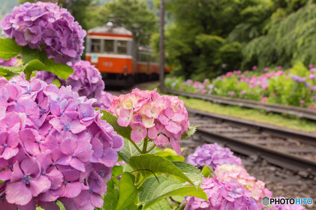 箱根登山電車701751