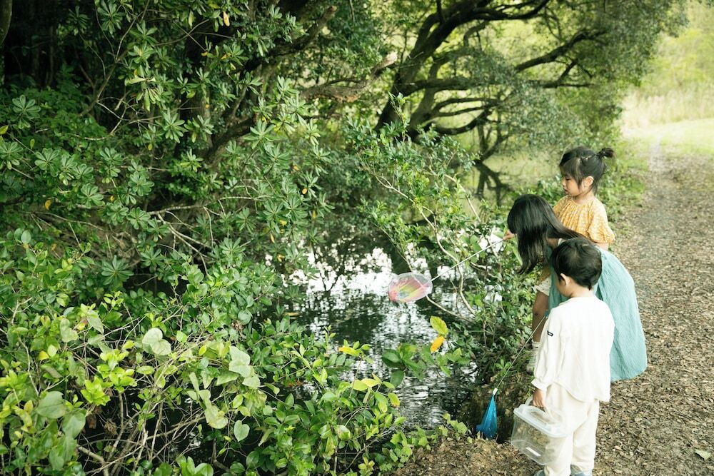 子供用の遊び場 - 屋外