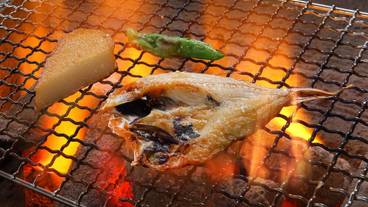 食事・飲み物 / 21