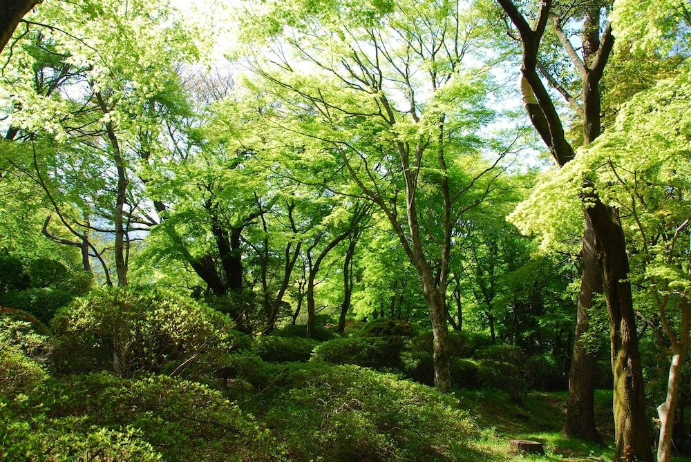 庭園